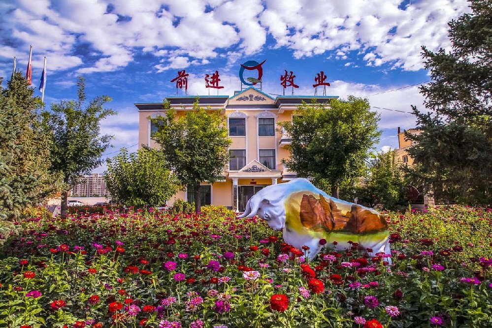 根植沃土，共沐朝陽(yáng)——我與前進(jìn)牧業(yè)同行的歲月