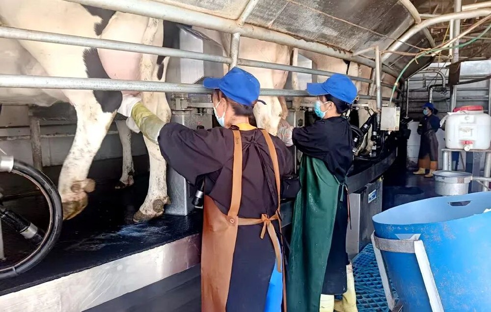 當國慶遇上中秋，堅守崗位別樣“圓”